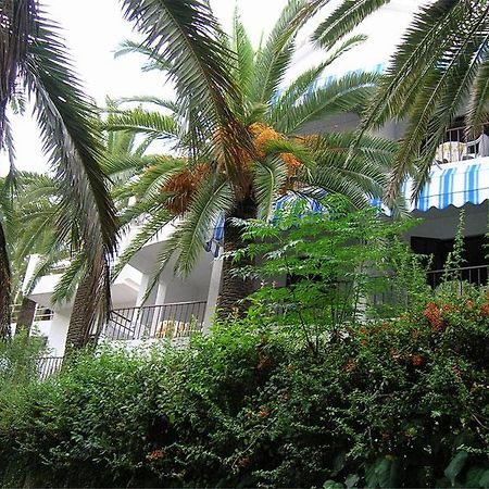 Apartmani I Sobe Goca تْشيرسيك نوفي المظهر الخارجي الصورة