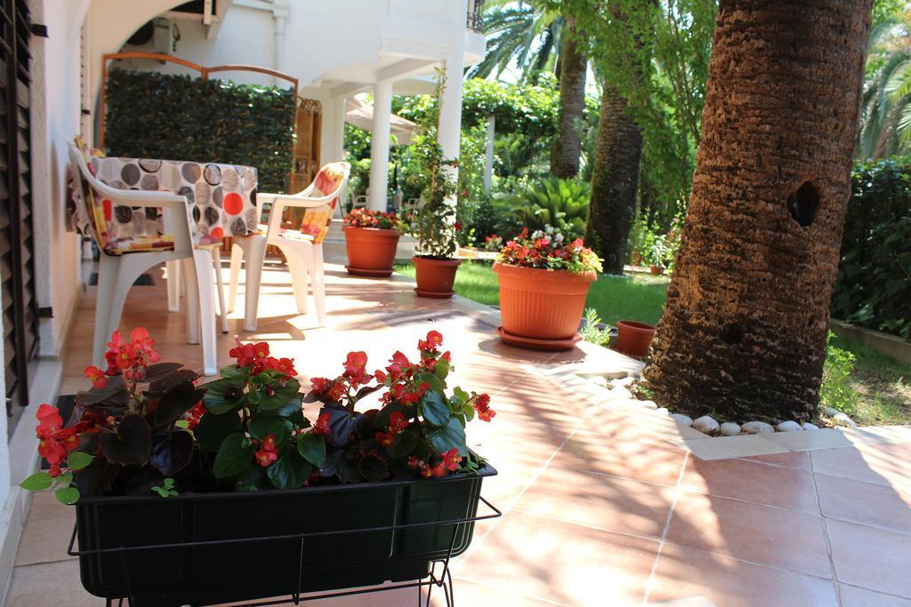 Apartmani I Sobe Goca تْشيرسيك نوفي المظهر الخارجي الصورة