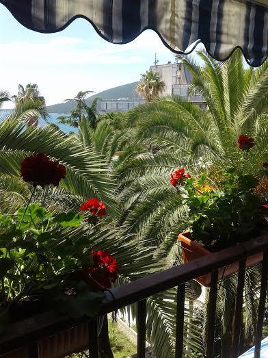 Apartmani I Sobe Goca تْشيرسيك نوفي المظهر الخارجي الصورة