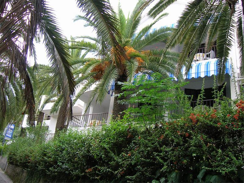 Apartmani I Sobe Goca تْشيرسيك نوفي المظهر الخارجي الصورة
