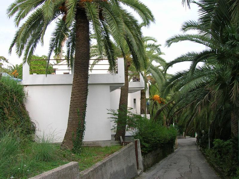 Apartmani I Sobe Goca تْشيرسيك نوفي المظهر الخارجي الصورة