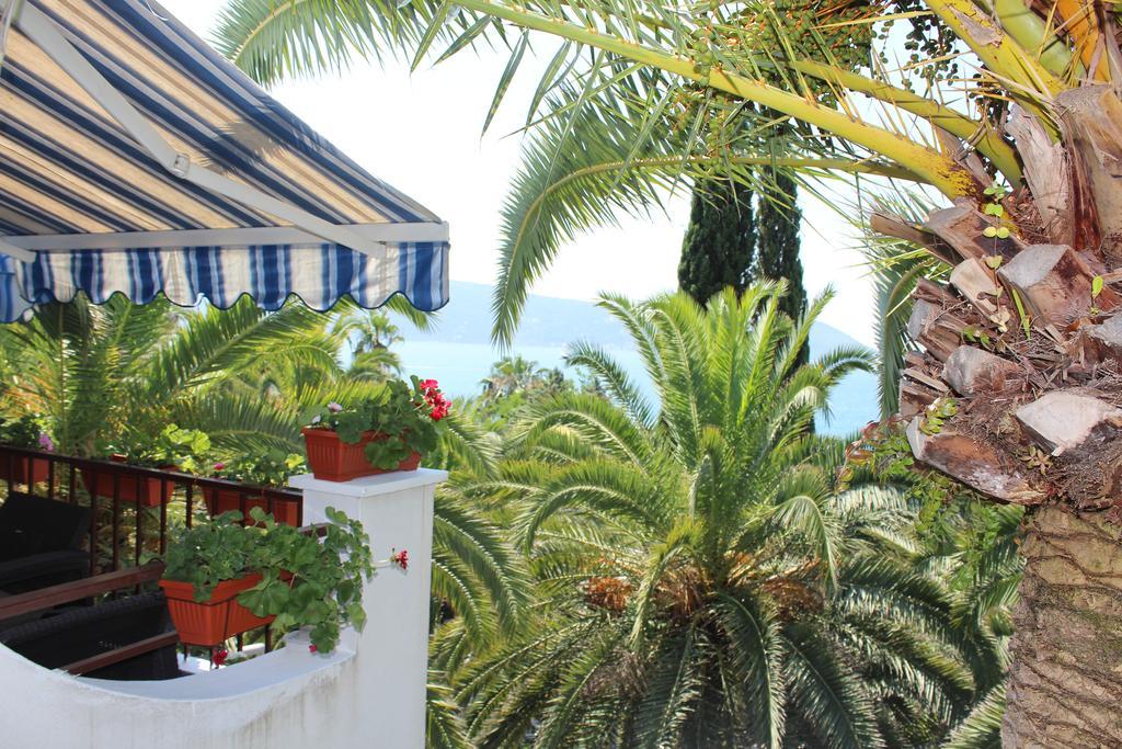 Apartmani I Sobe Goca تْشيرسيك نوفي المظهر الخارجي الصورة