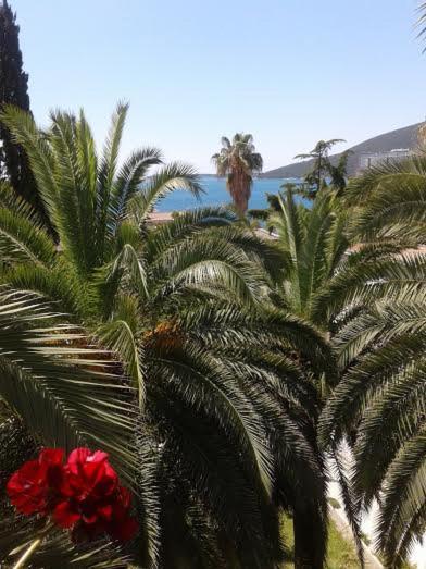 Apartmani I Sobe Goca تْشيرسيك نوفي المظهر الخارجي الصورة